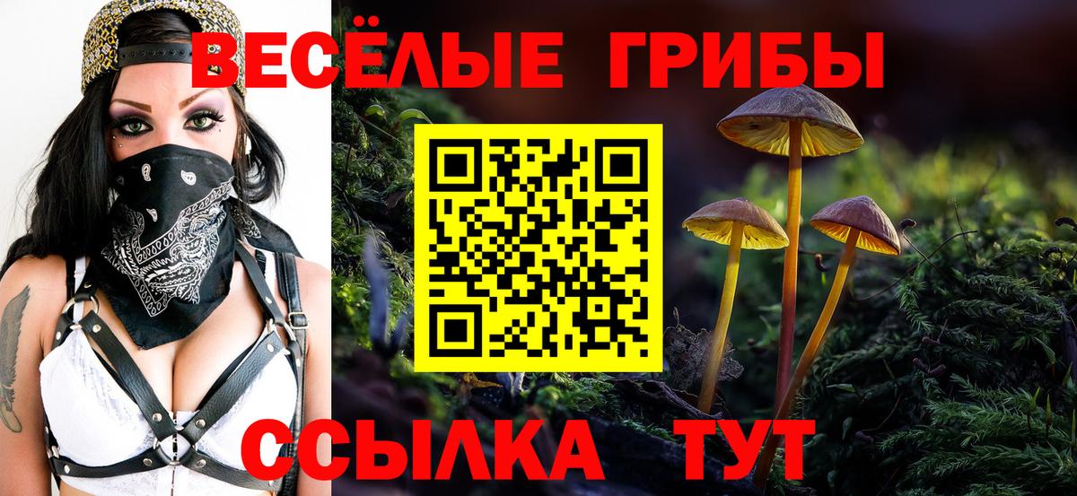 Псилоцибиновые грибы мицелий  Вход с VPN  Лесной 